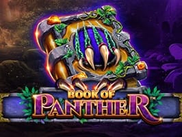 Book of Panther thumbnail